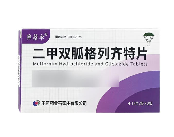 ����˫�Ҹ�������Ƭ�����������ò�Ʒ������